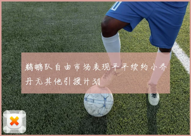 鹈鹕队自由市场表现平平续约小乔丹无其他引援计划